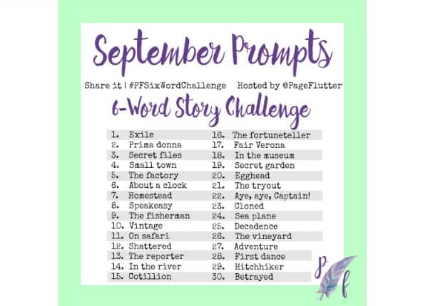 Take the 6-word story challenge! Add some creativity to your day with 6-word stories and micro-poetry! #PFSixWordChallenge