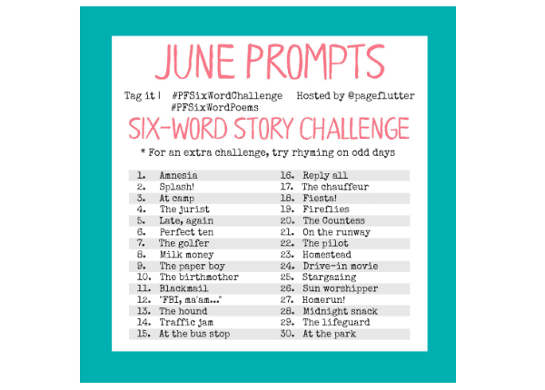 June challenge prompts for the #PFSixWordChallenge. Creative exercise for your Bullet Journal!