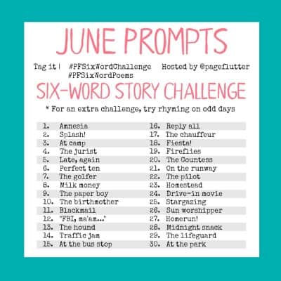 June challenge prompts for the #PFSixWordChallenge. Screen-free summer creative exercise for your Bullet Journal!