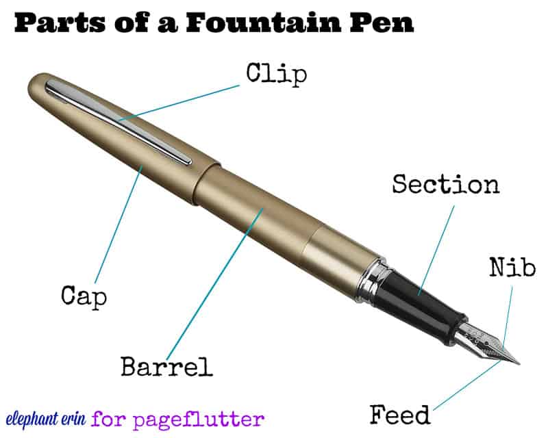 fountain pen sections