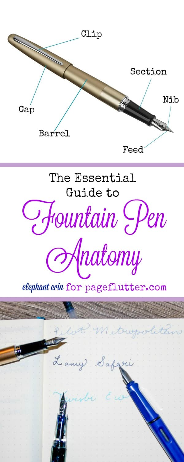 Fountain pen anatomy for newbies. Great for handwriting practice, happy mail, and journaling.