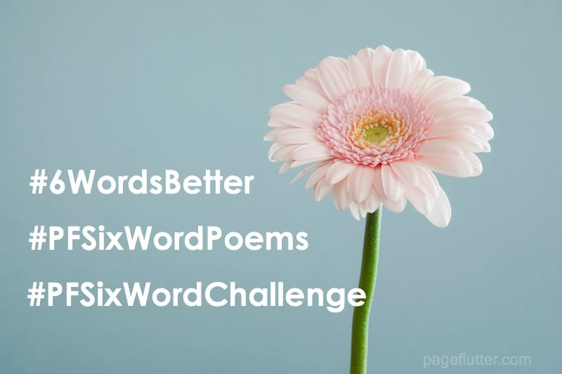 Year to a Better You February Prompts. 6-Word Story Challenge for journaling, writing, self-improvement, gratitude, and goal setting. #6wordstory #6wordsbetter 