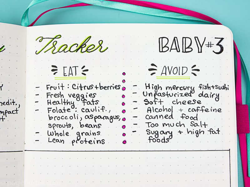 Baby tracker hot sale journal