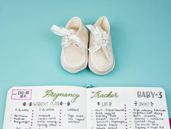 4 Pregnancy Bullet Journal Trackers to Prepare for Baby | Page Flutter