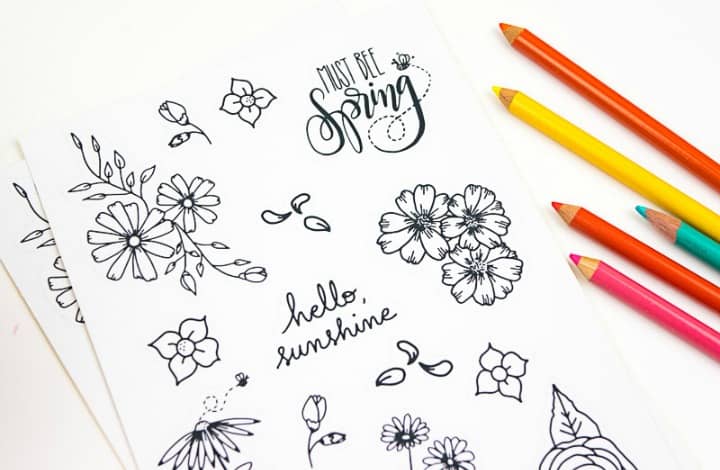 15 Printable Floral Planner Stickers to Beautify Your Entire Routine-feature| pageflutter.com