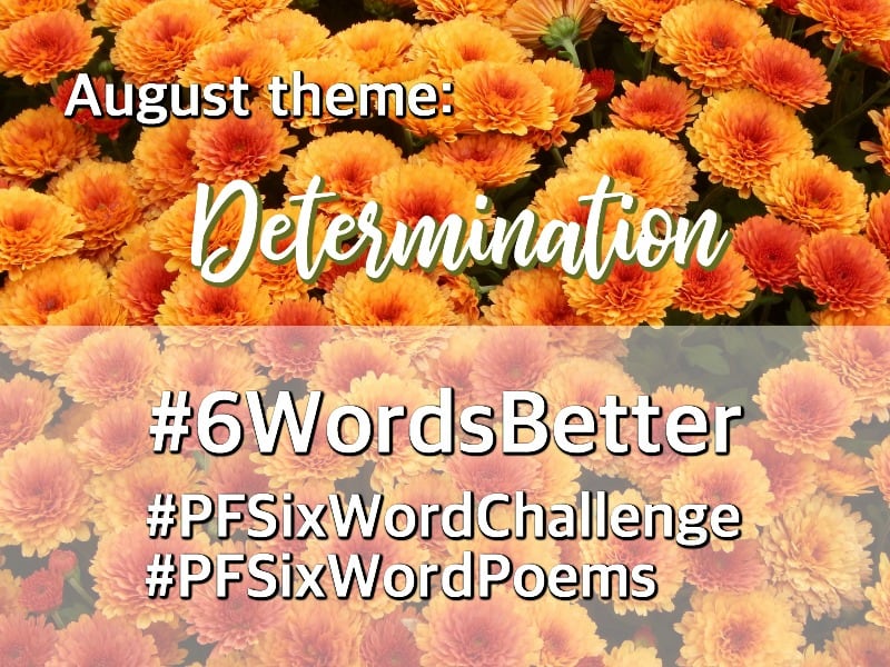 Year to a Better You-August 6-Word Story Challenge |pageflutter.com