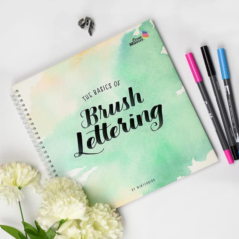 best brush lettering book