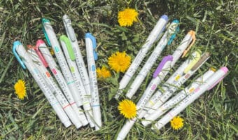 zebra mildliner highlighter pens in the grass with dandelions