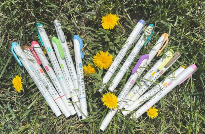 zebra mildliner highlighter pens in the grass with dandelions
