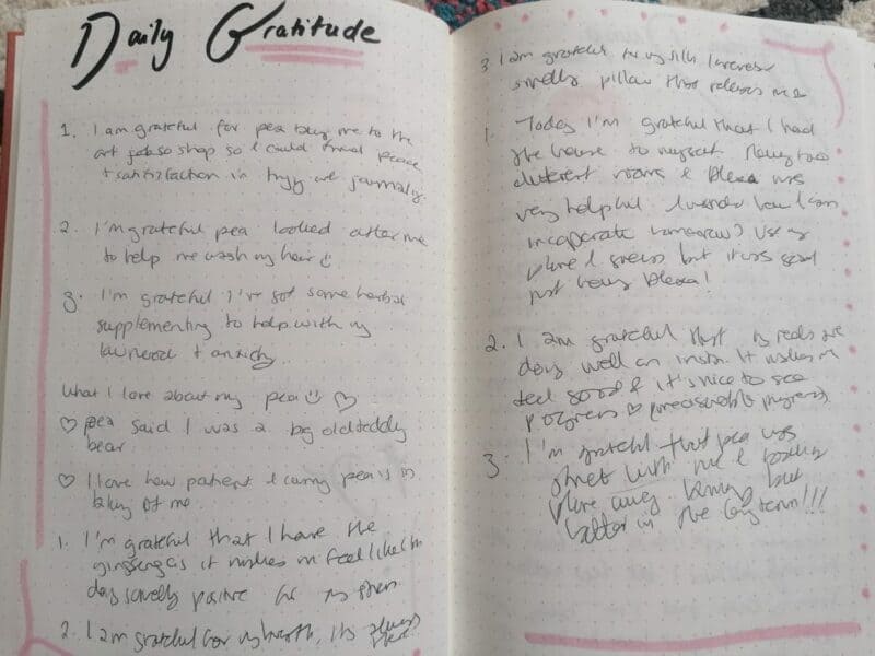 a gratitude log in a mental health bullet journal
