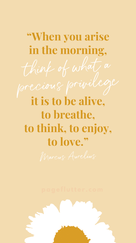 Image of a quote from Marcus Aurelius about how precious life is
