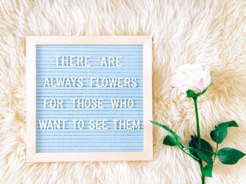 Baby blue letter board against a white sheepskin rug with a white rose. Words on the letterboard say "There are always flowers for those who want to see them."