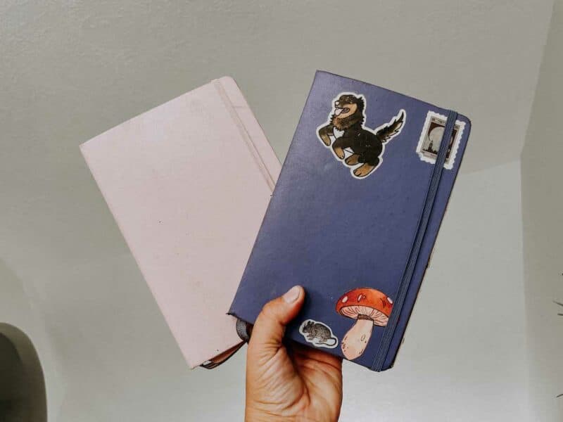 A woman's hand holds up two different notebooks against a white background to compare the moleskin vs leuchtturm notebooks